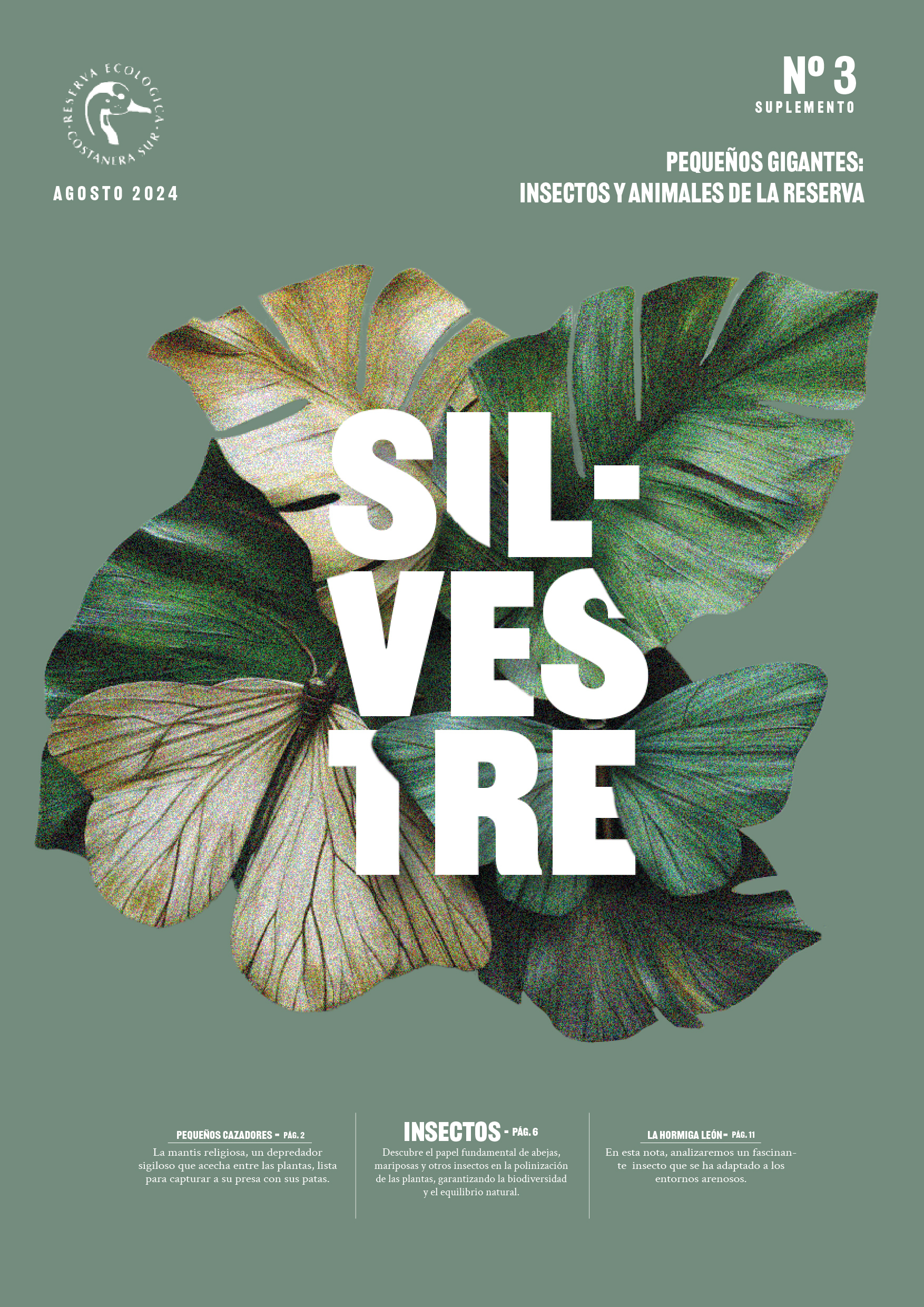 Silvestre